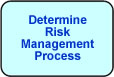 Determine Risk Management Process