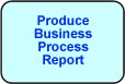 Produce Business Process Report