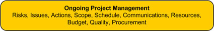 Ongoing Project Management
